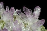 Amethyst Crystal Cluster - Veracruz, Mexico (Special Price) #42213-2